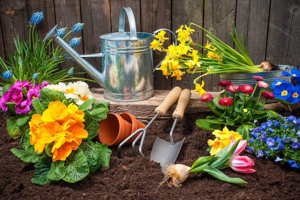 Gardening