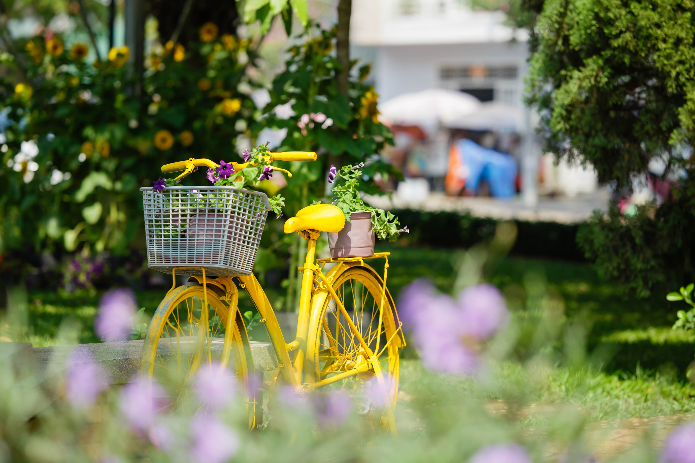 Yellow Bicycle