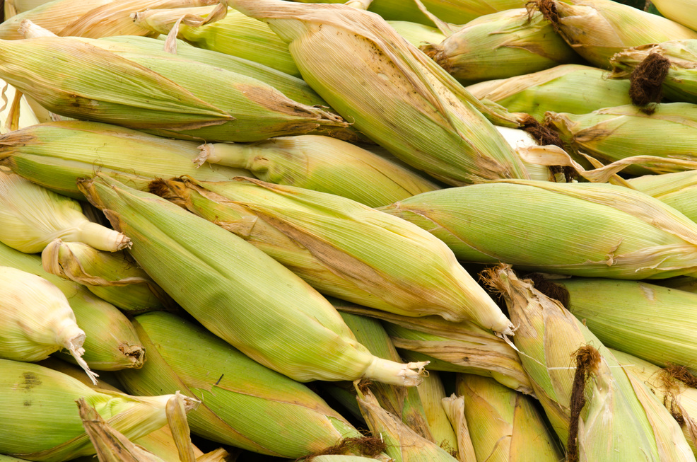 corn